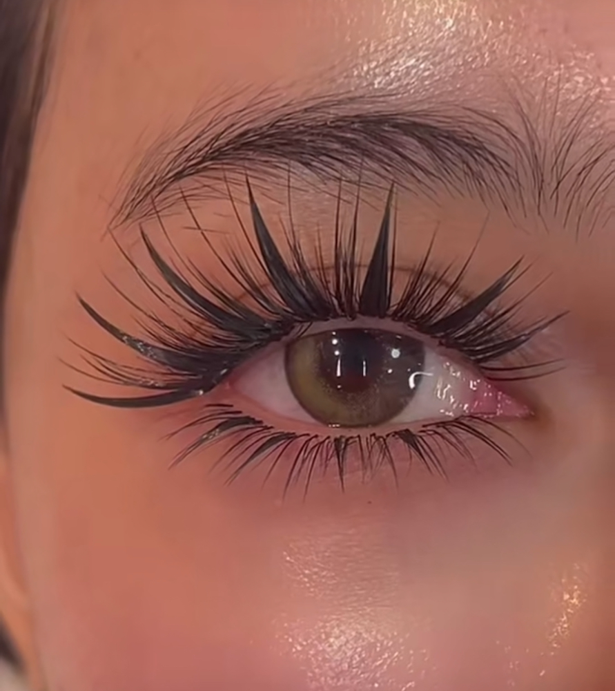 Eyelashes ( Alashes.Vancouver )