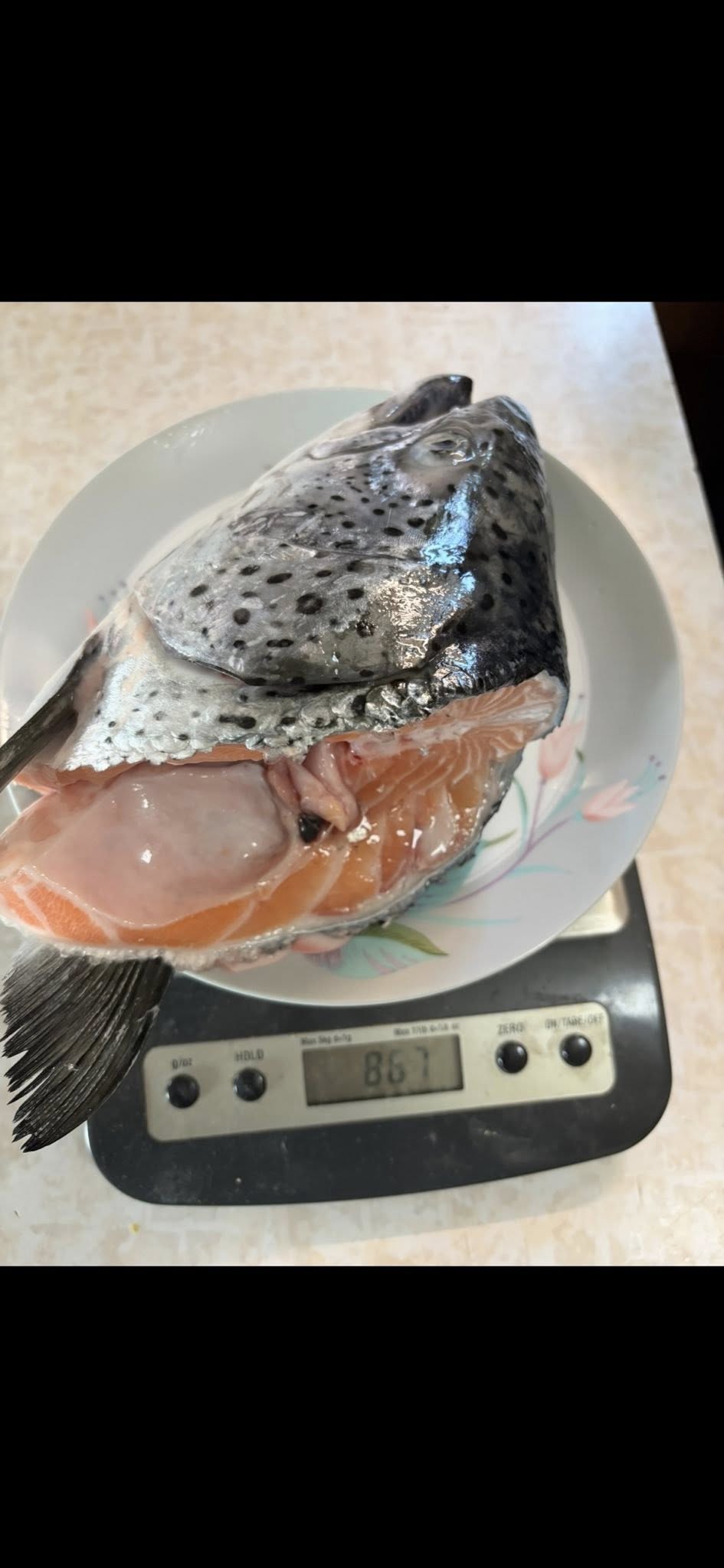 Mình đang có đầu cá salmon 🍣 frozen nha